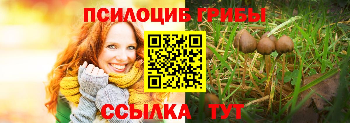 как найти наркотики  Псилоцибиновые грибы ЛСД  Вход с VPN  Удомля 